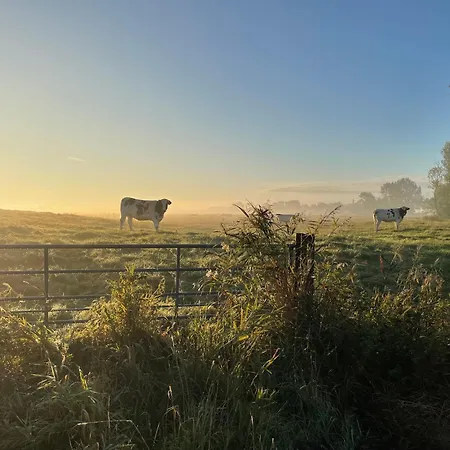 Alte Warft アパート